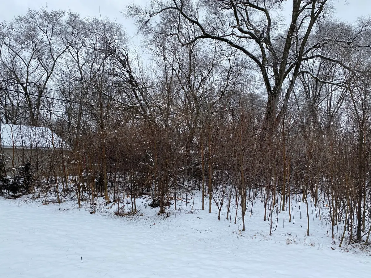 411 N Lily Lake Road