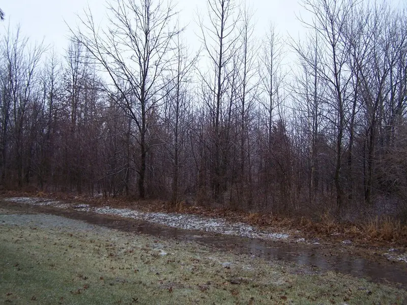 0000 ADAMS Drive