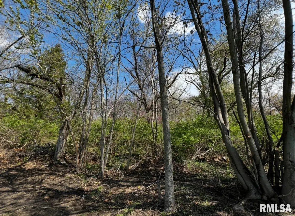 LOT 201 JAMES Street