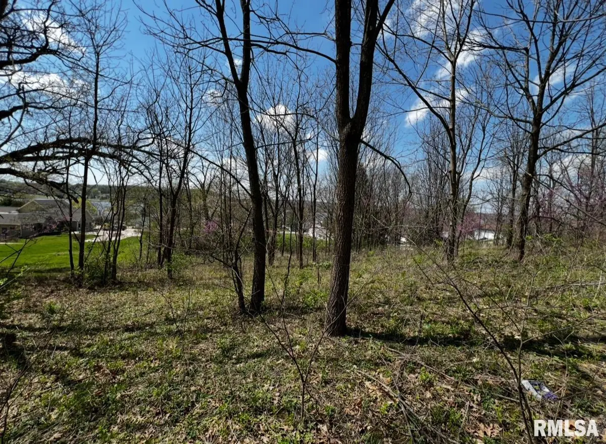 LOT 201 JAMES Street