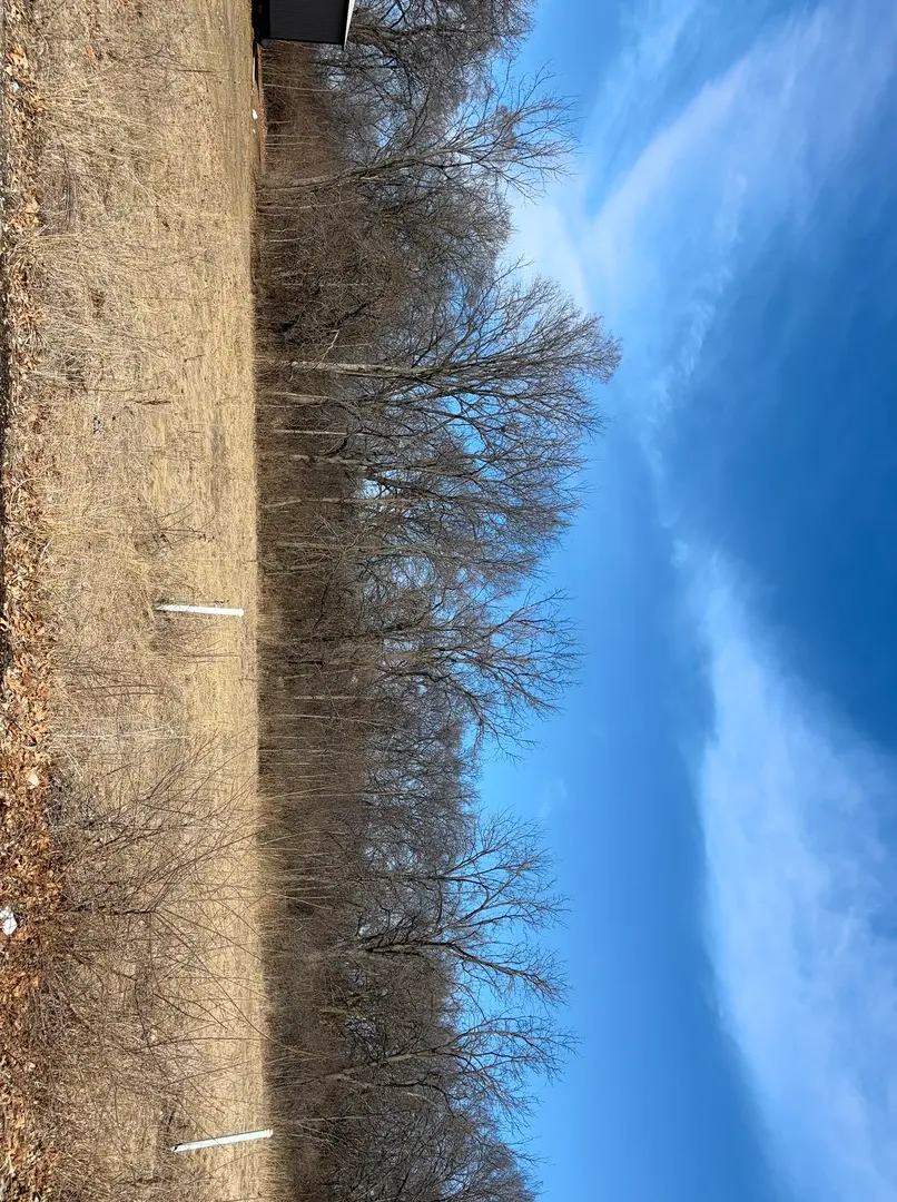 Lot 130 & Lot 131 Chippewa Trail