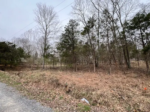Lot 1234 Indian Camp Drive
