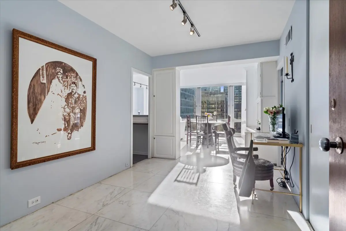 880 N Lake Shore Drive
