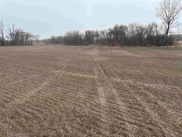 XXXX Il Rt 173