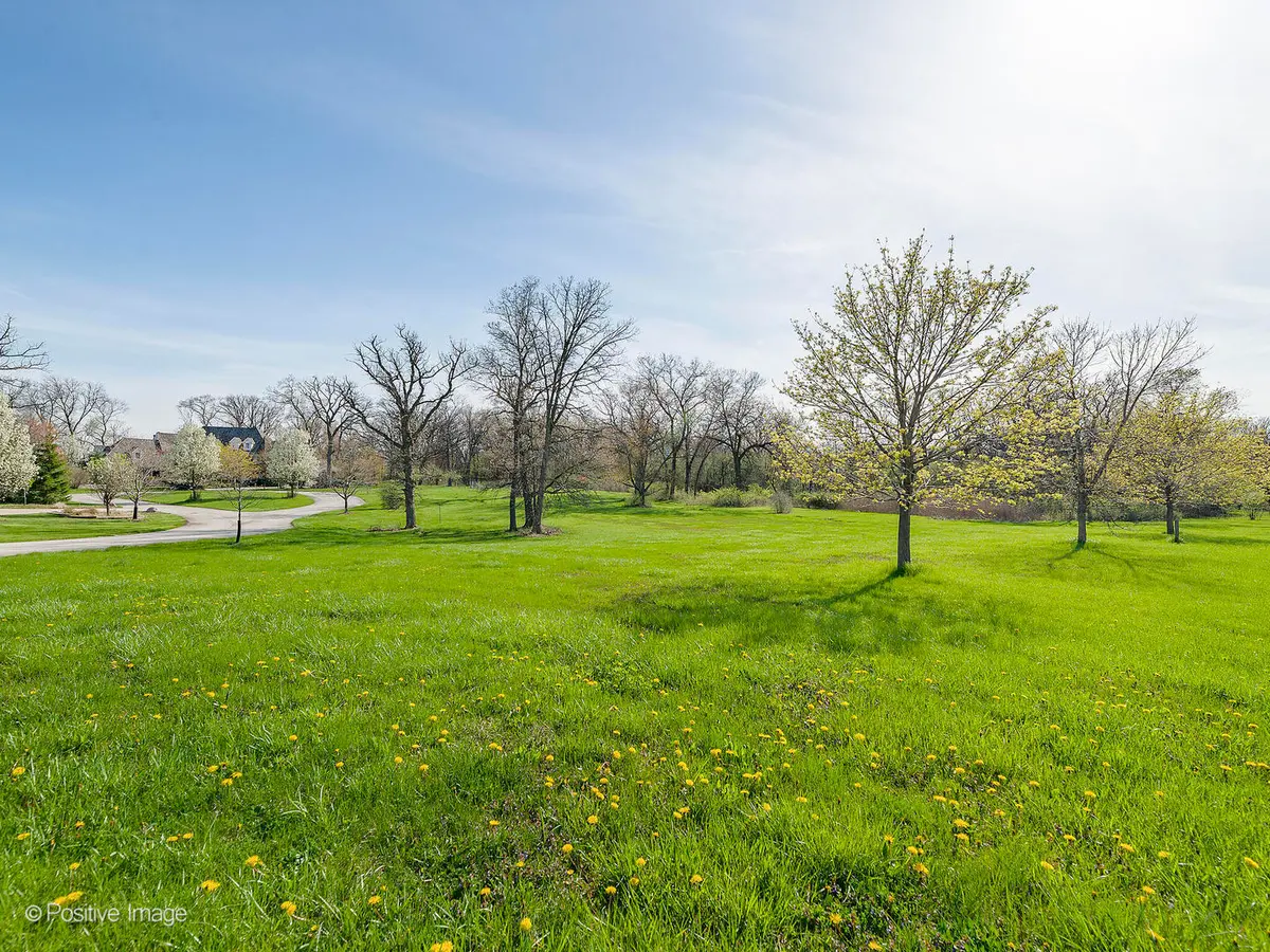 215 Oak Brook Road