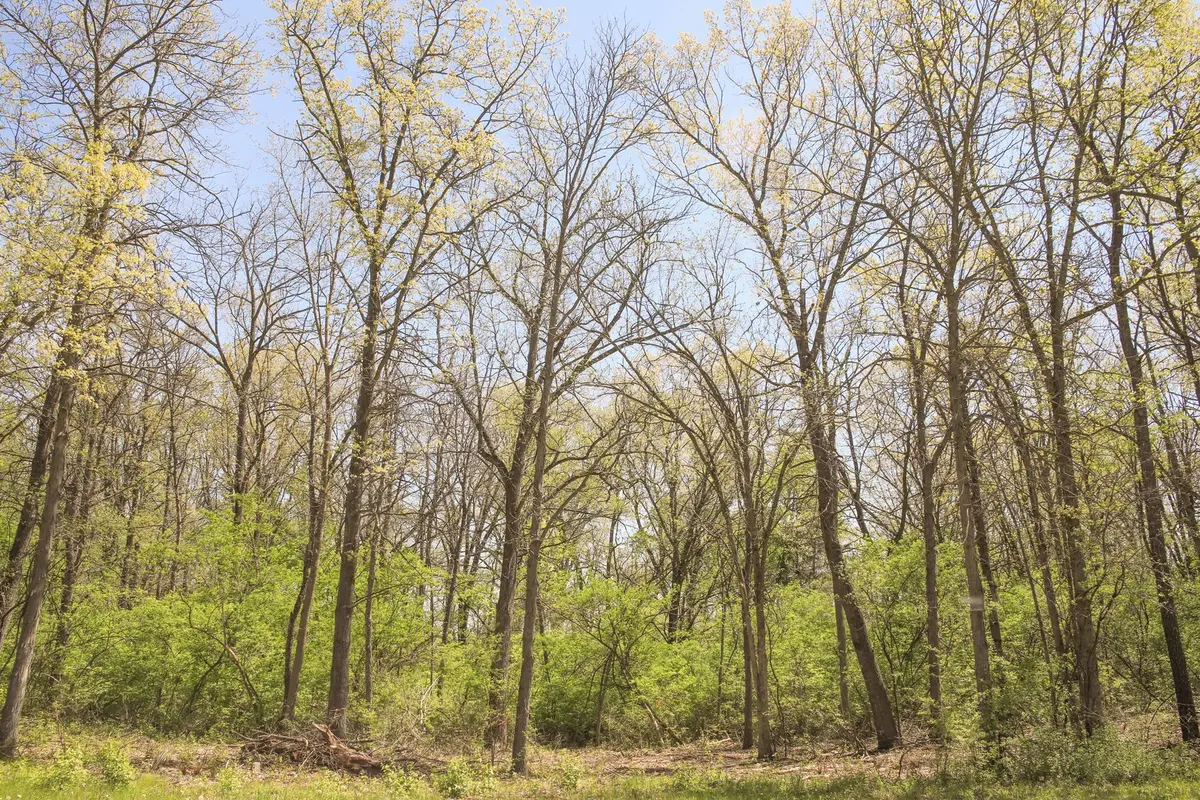 806 Echo (Lot 22) Trail