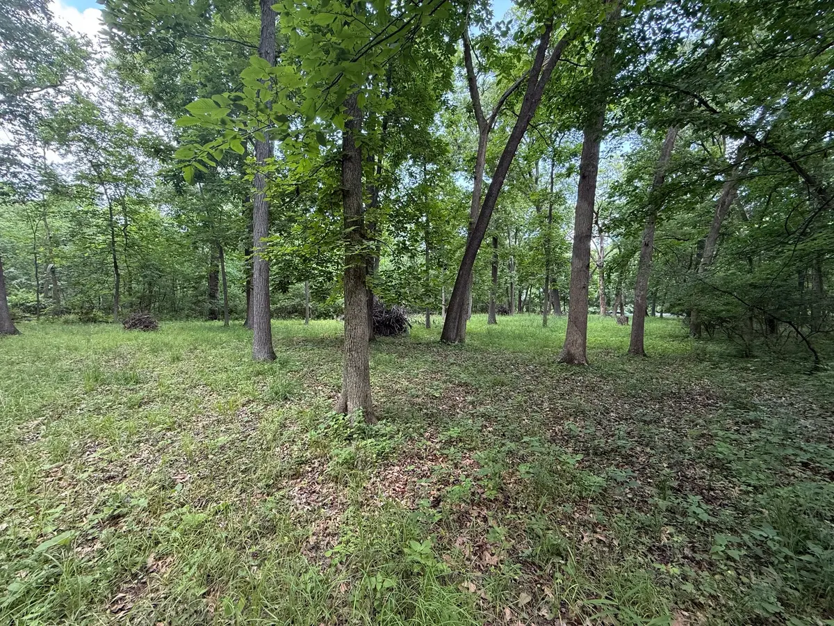 Lot 235 Lake Thunderbird Drive