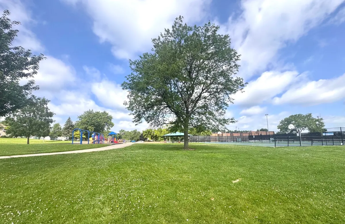 300 S Roselle Road