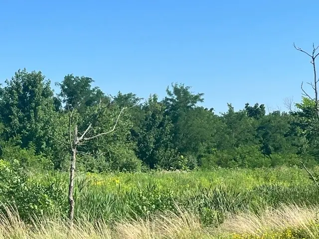 RT 59 Rt