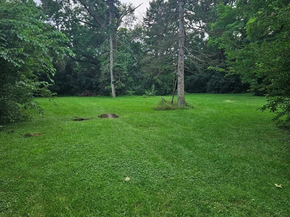 419 W 63rd Street