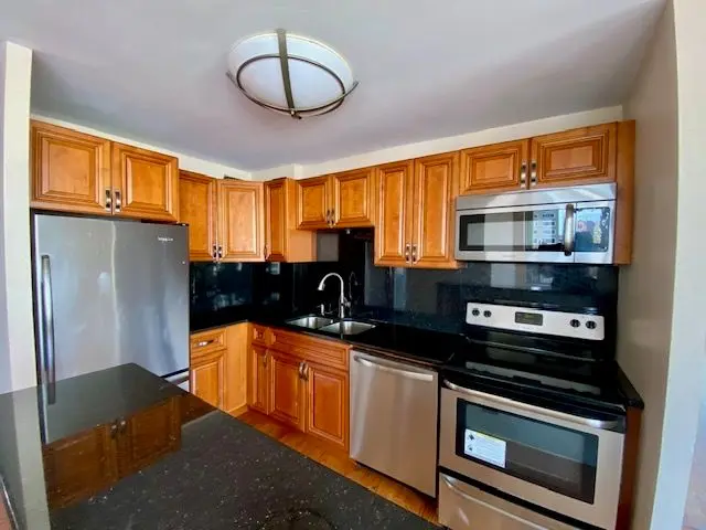 1355 N Sandburg Terrace