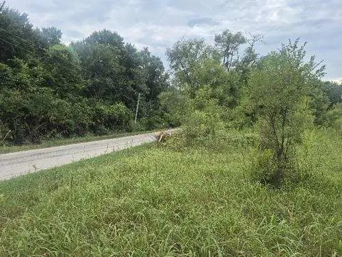 lot 1 S Irish Lane