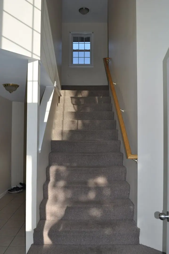 223 S Rush Street