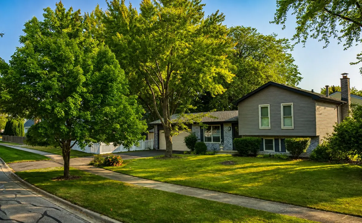 4 N Birchwood Drive