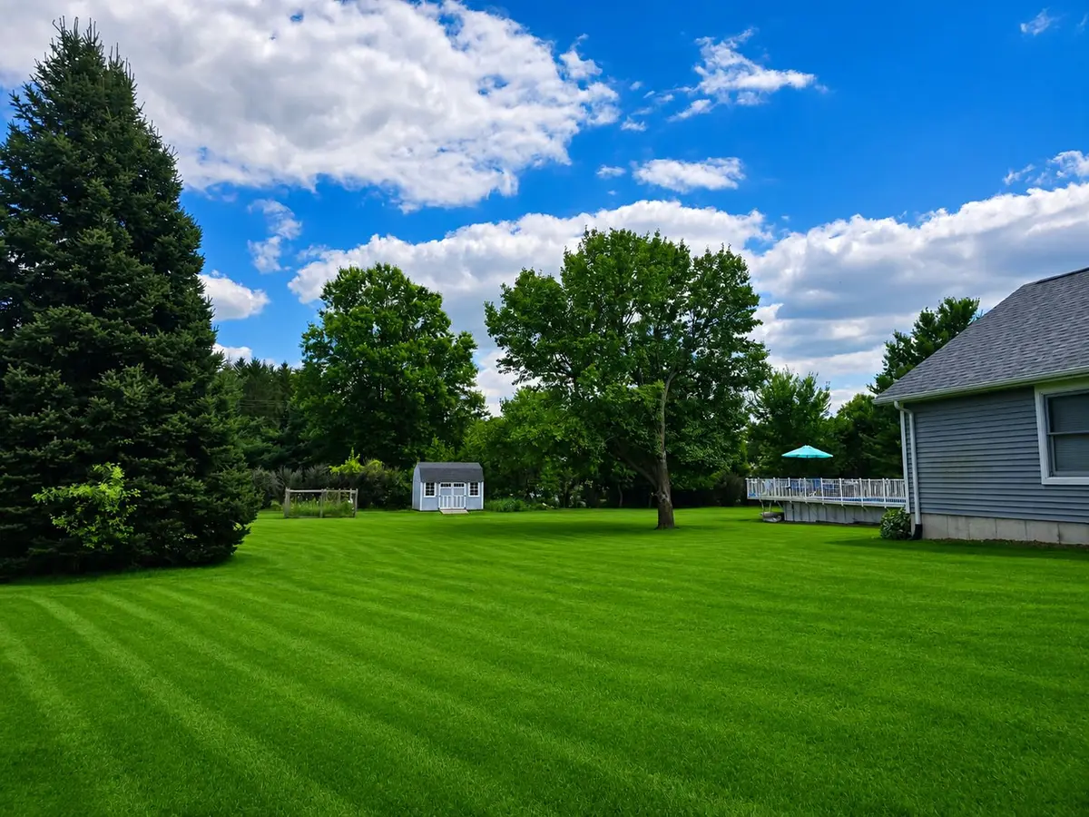 2335 Timber Ridge Drive