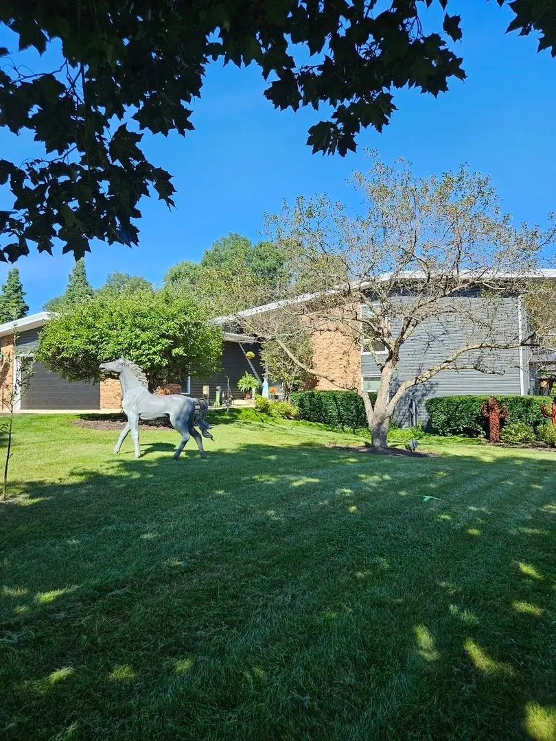 1402 Appaloosa Trail