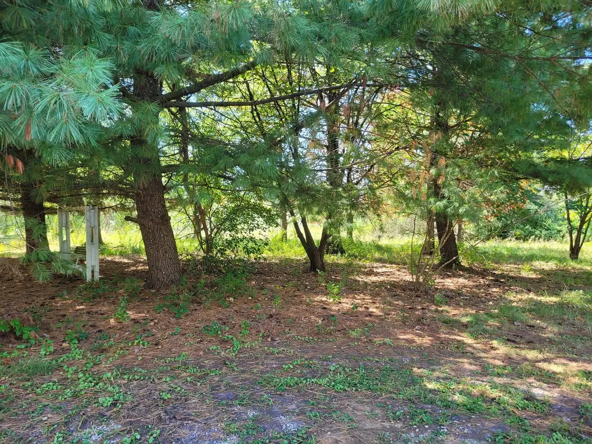 11978 E Bunny Farm Road