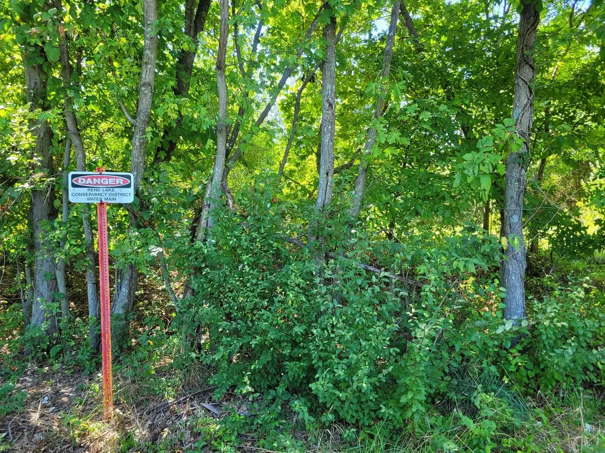 000 E Bunny Farm Road