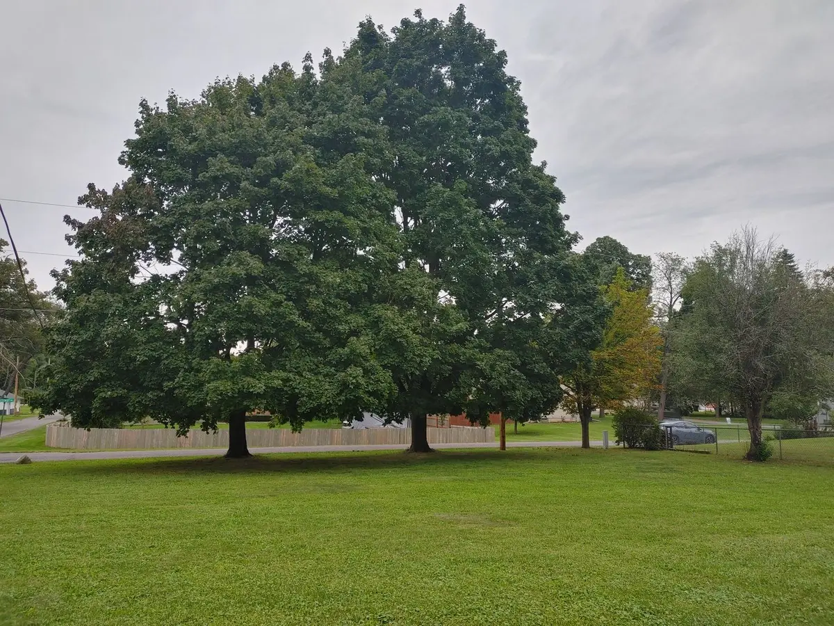Lot 2 Pine Road