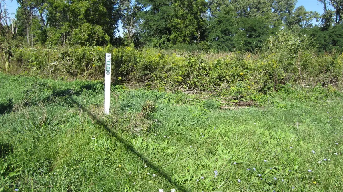Lot 1