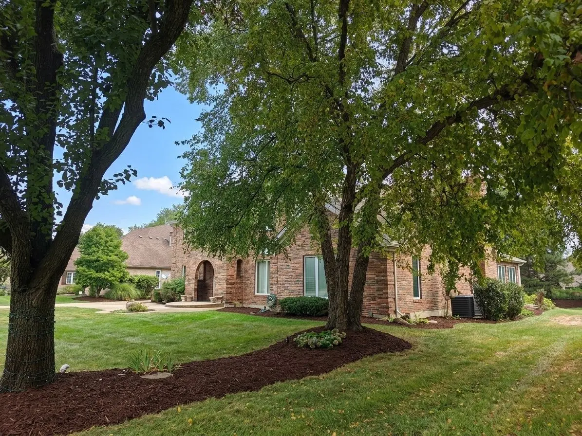 1493 TOMLIN Drive