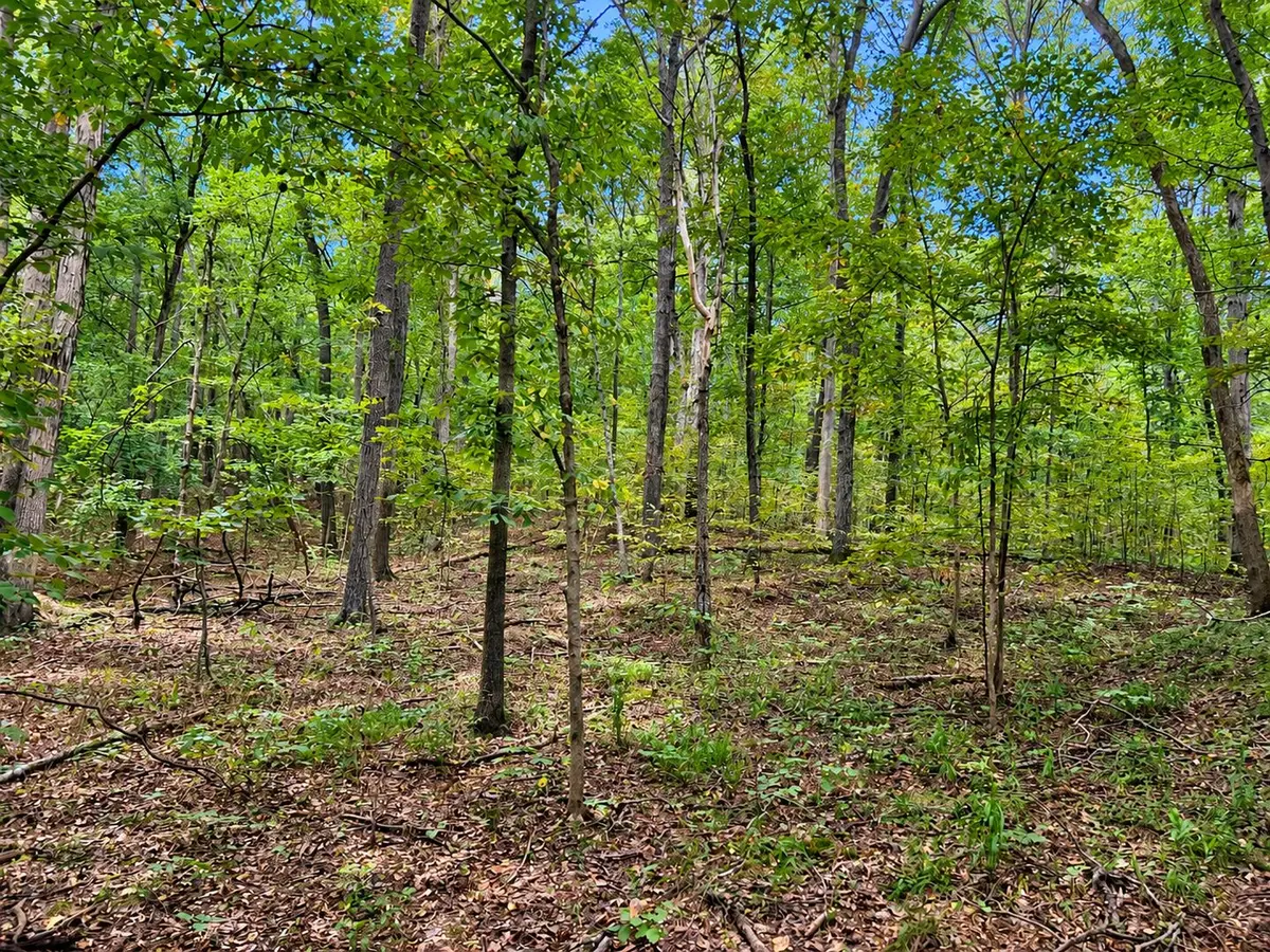 0000 Perry Road