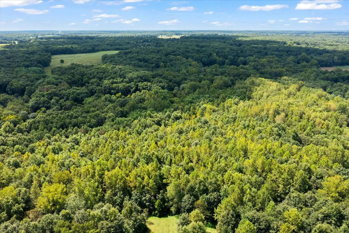 60 Acres on River Road