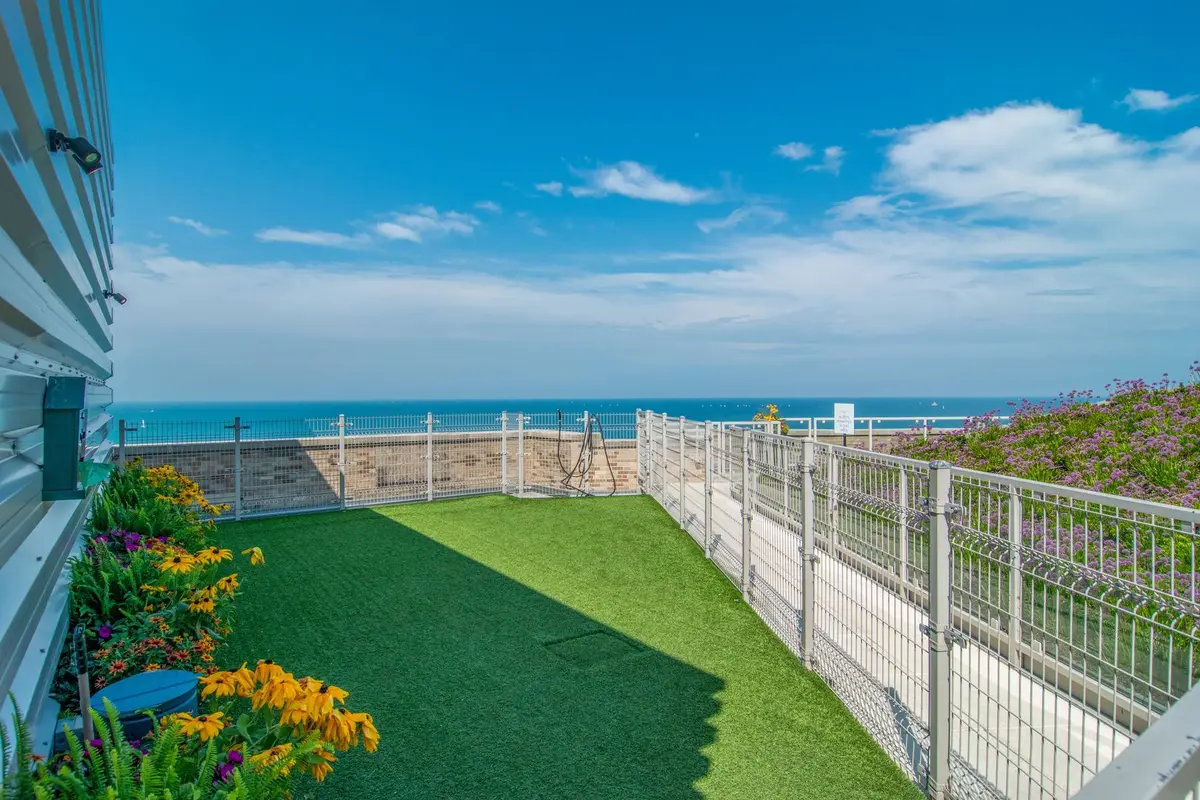 850 N Lake Shore Drive