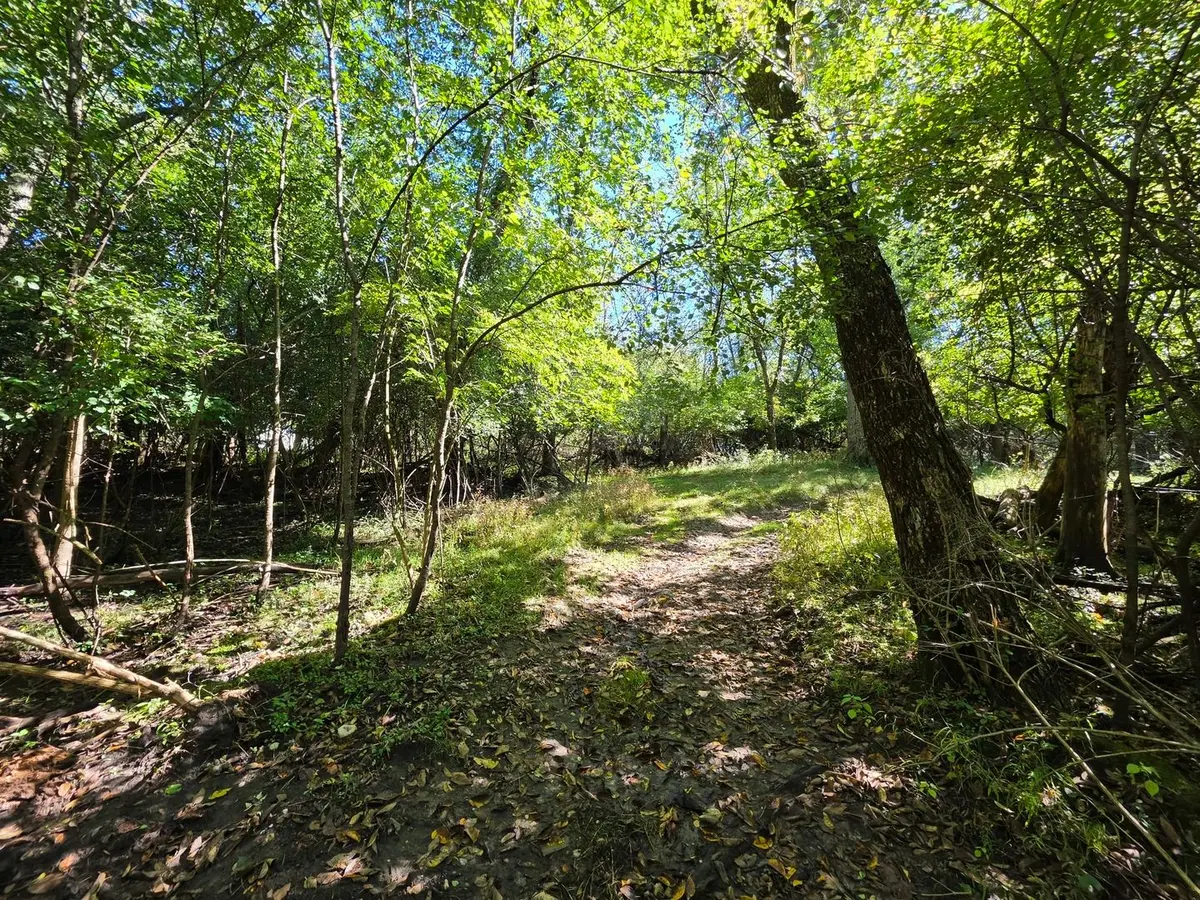 Lot 13 Pokagon Trail
