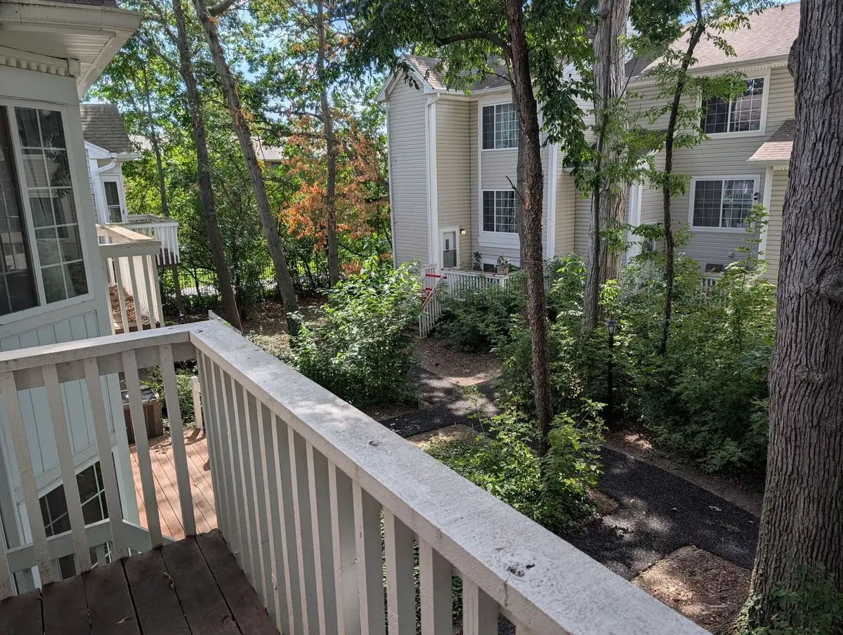 293 W Treehouse Lane