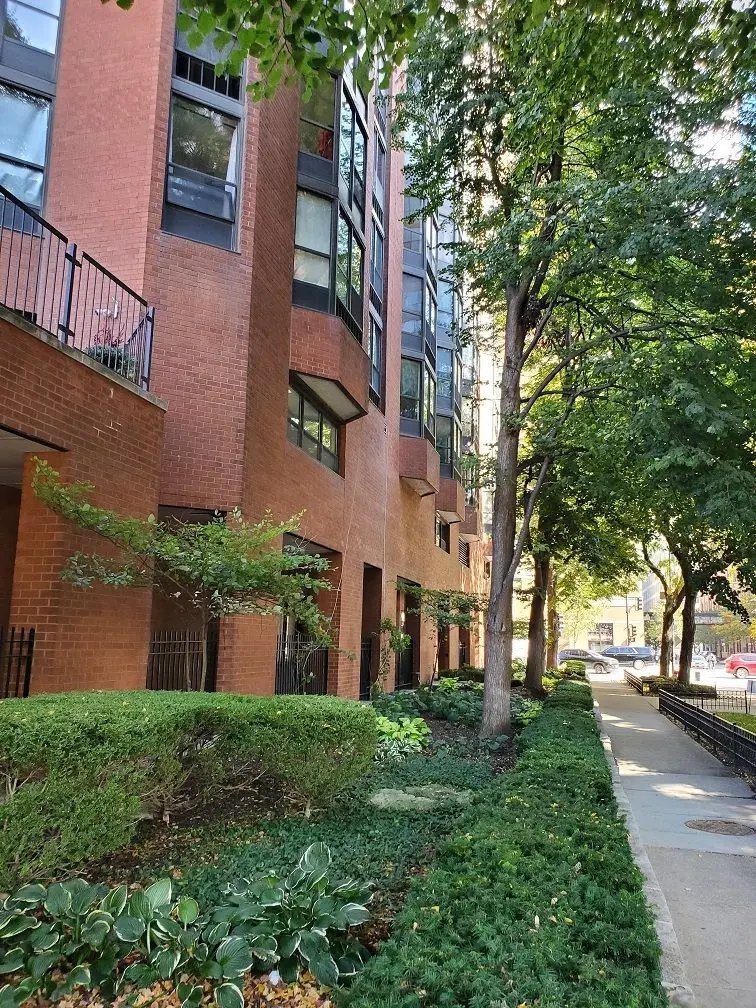 899 S Plymouth Court