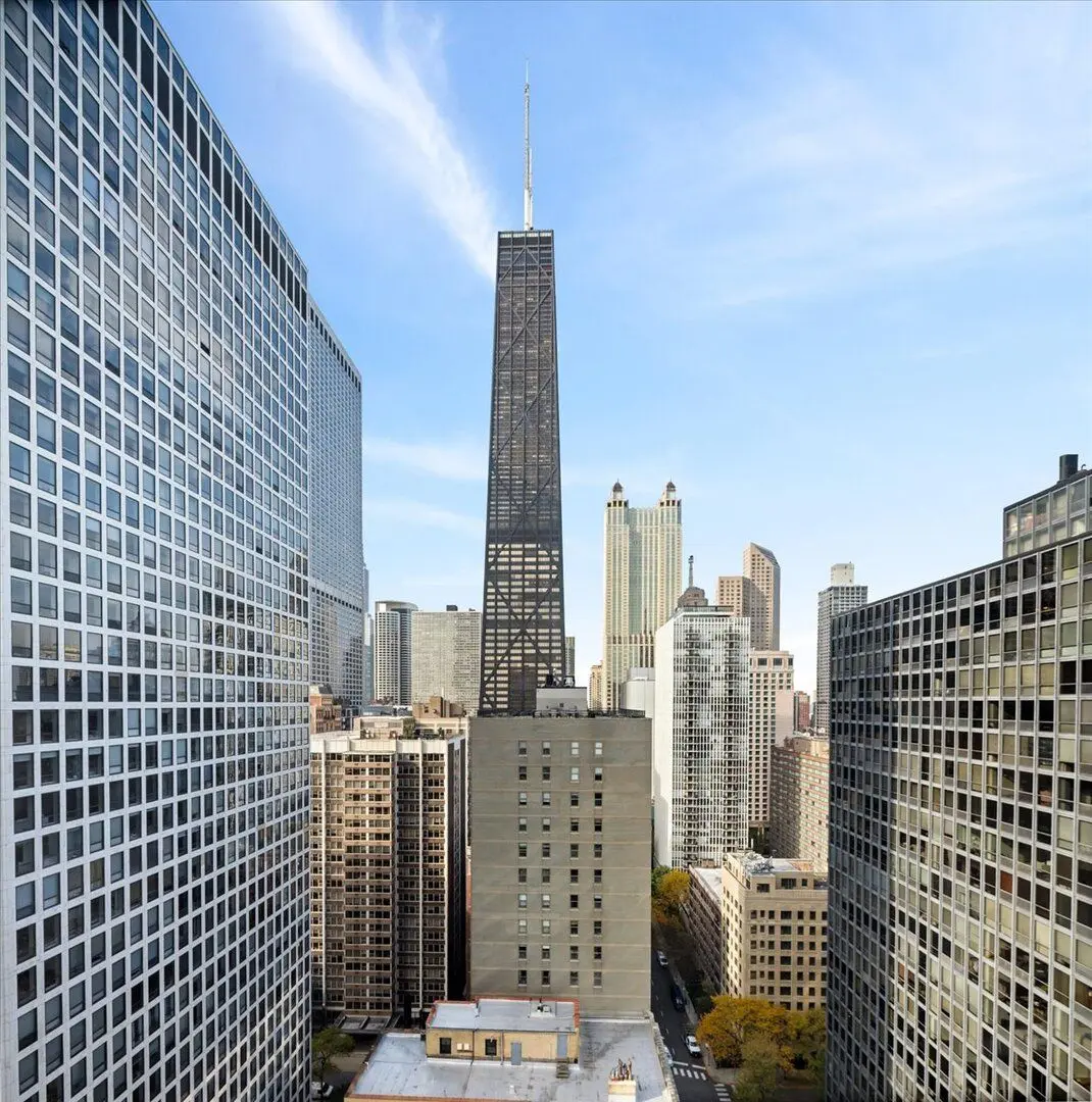 880 N Lake Shore Drive