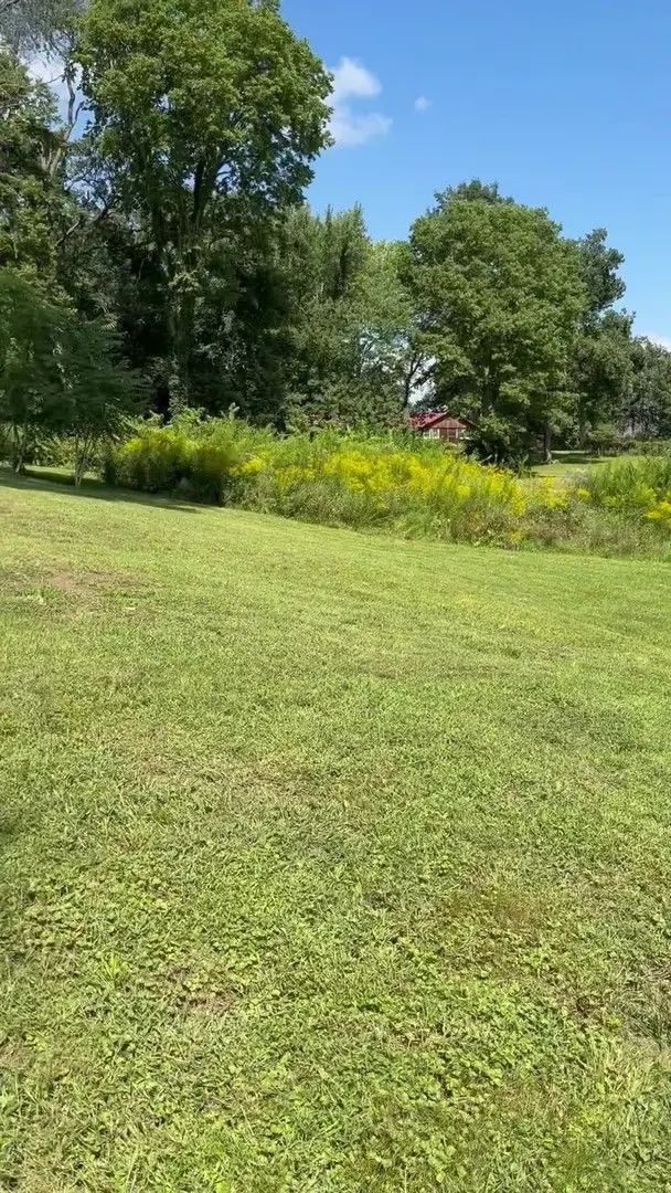 Low Lot